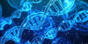 Psicobiología o fundamentos biológicos del comportamiento (Malla Psicología, Primer Semestre)