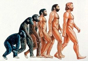 Fundamentos Socioantropológicos (Malla Psicología, Segundo Semestre)