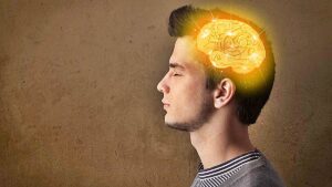 Teorías Cognitivas (Malla Psicología, Tercer Semestre)